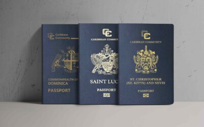 Is It Legal to Have a Second Passport? [2024 Guide]