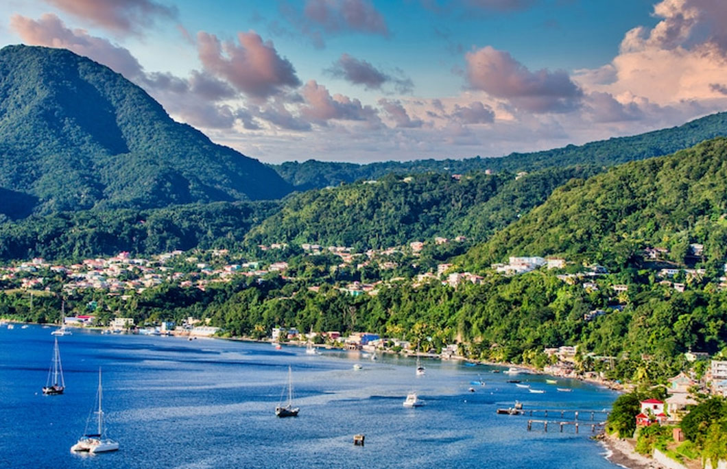 dominica-knightsbridge